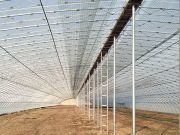 yy易游体育
加工厂 yy易游体育
加工厂