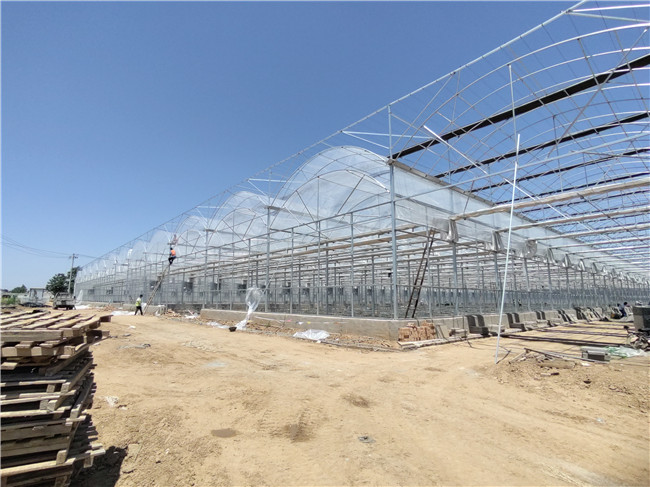 蔬菜大棚建设厂家